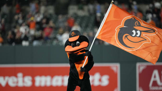 OriolesMascotGeneric